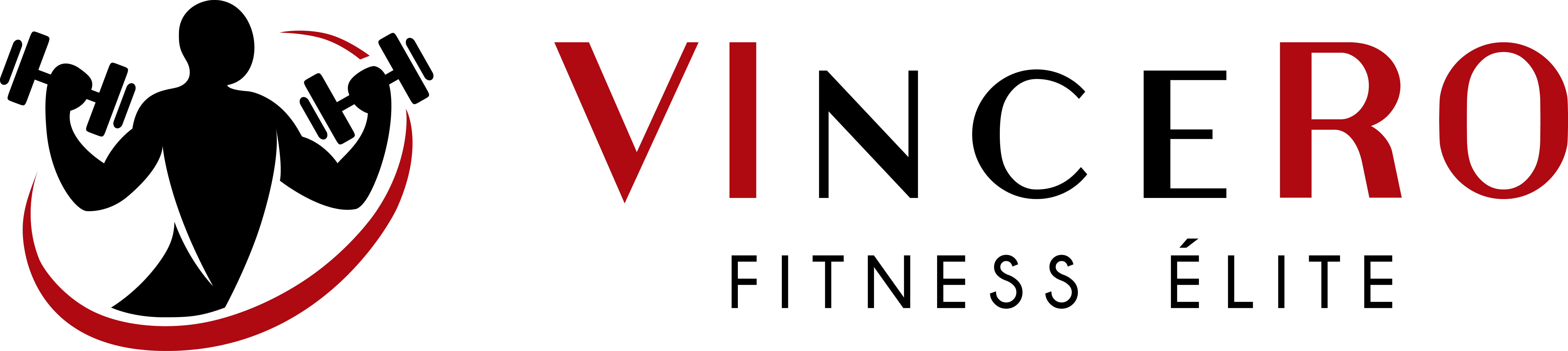 Logo VinceRo